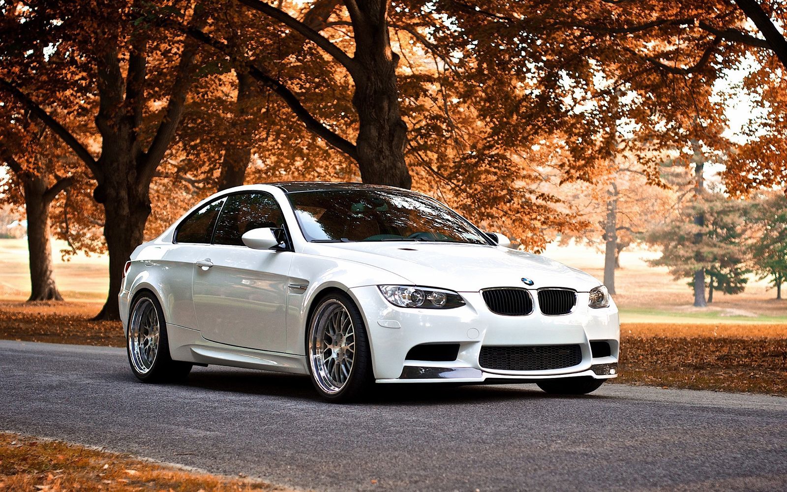 

Фотообои Walldeco Белый автомобиль BMW №0943 Базальт