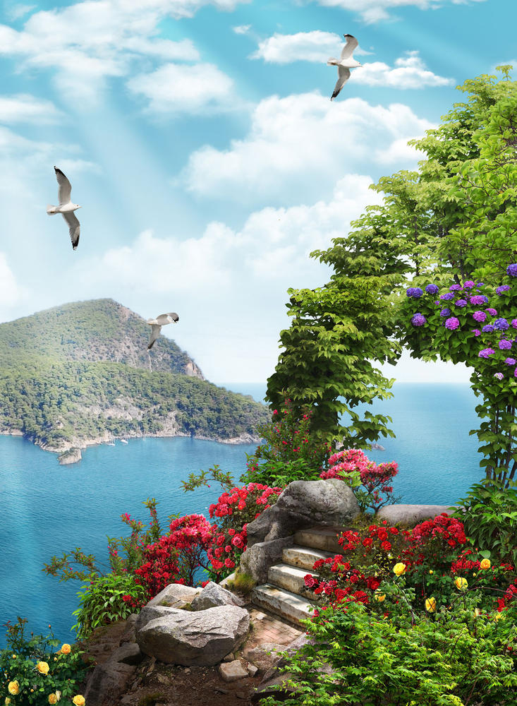 

Фотообои Walldeco Цветы у камней №30821 Базальт