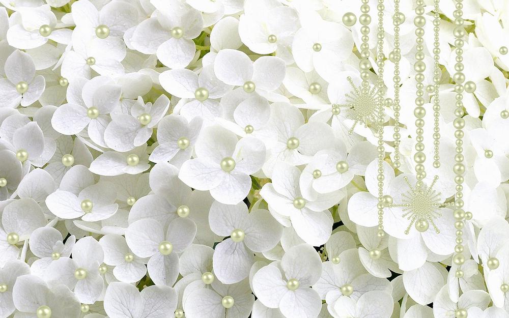 

Фотообои Walldeco Белые цветы с жемчугом №34160 Жаккард