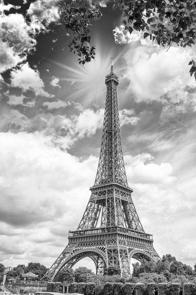 

Фотообои Walldeco Эйфелева башня №15165 Жаккард