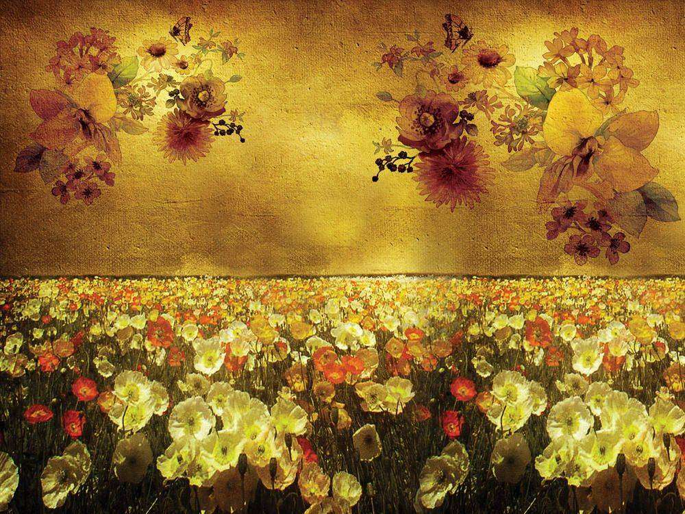 

Фотообои Walldeco Маковое поле №23564 Базальт