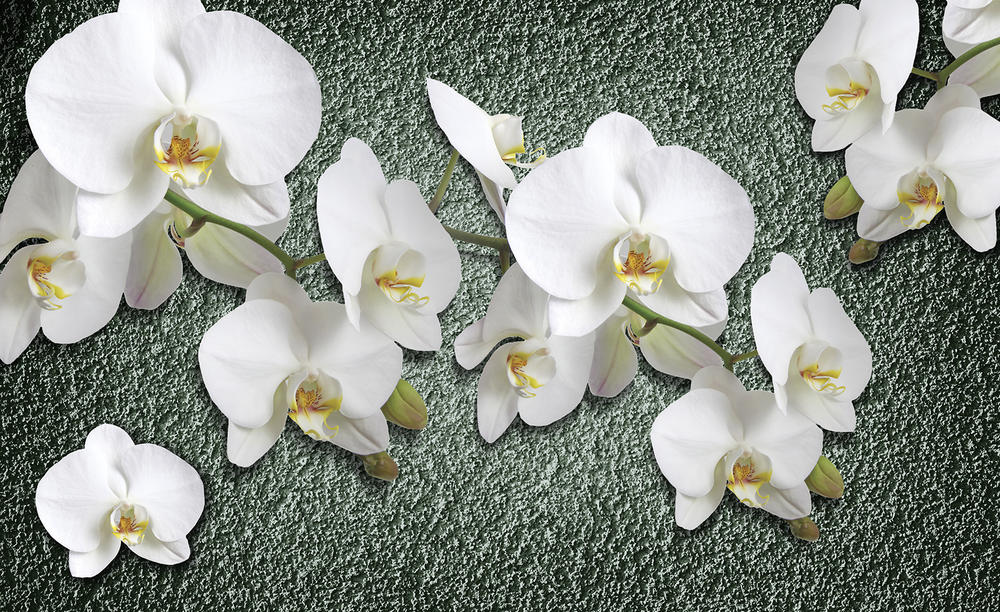 

Фотообои Walldeco 3д цветы на фоне стены №32569 Бриз