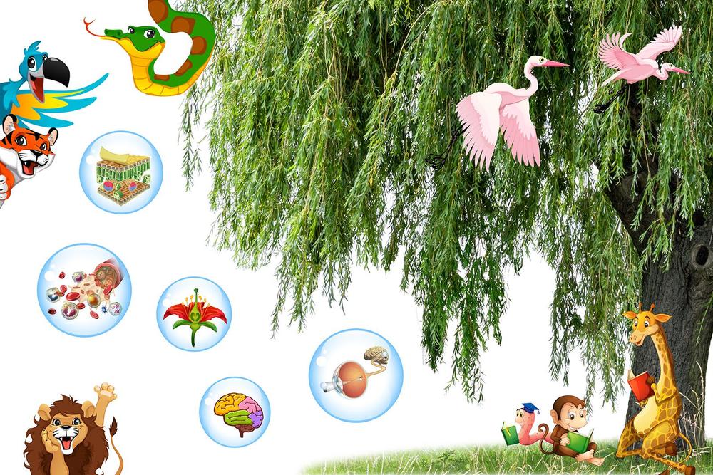 

Фотообои Walldeco Изучаем животных №33476 Мелкий песок с блестками