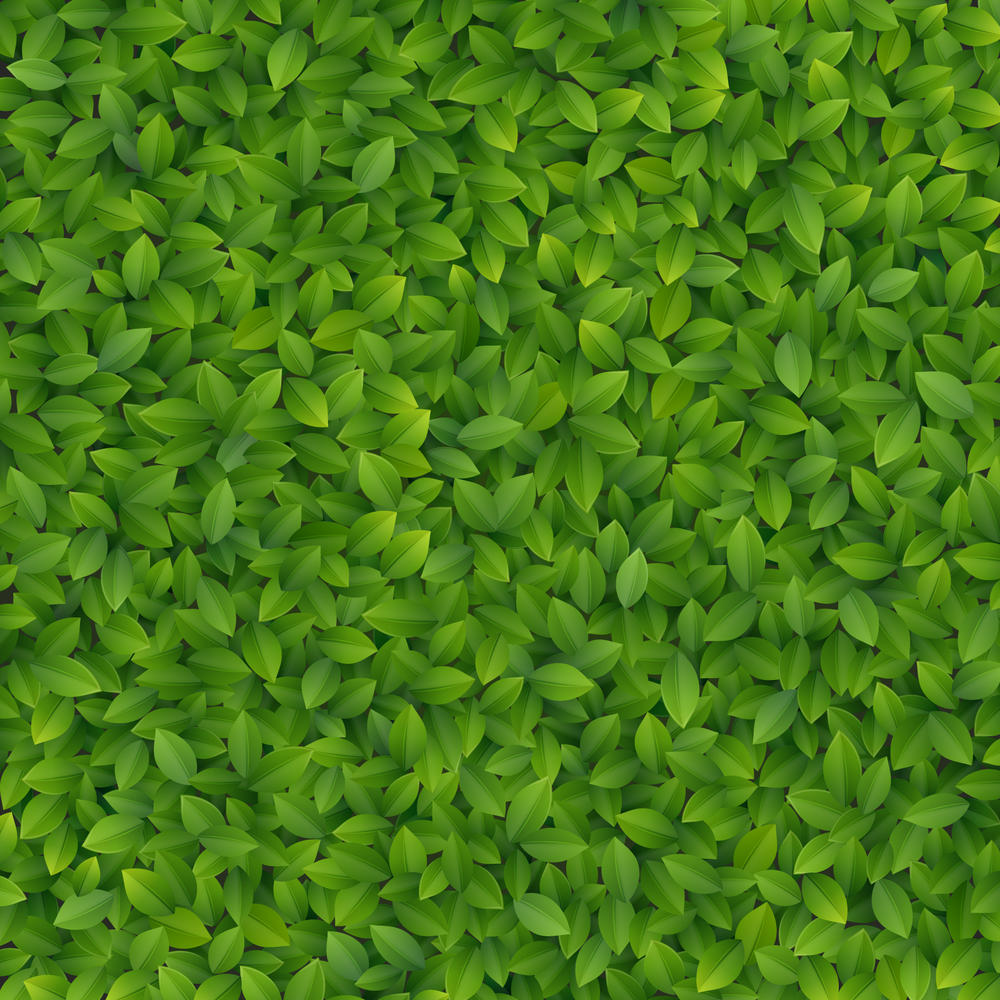 

Фотообои Walldeco Фон из листьев №27799 Фреска
