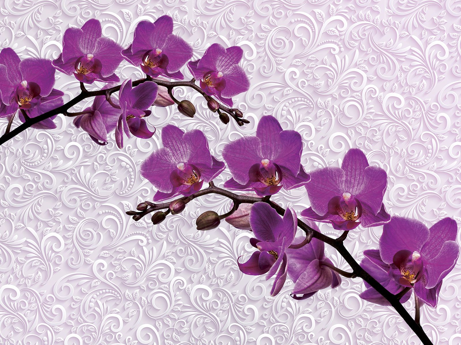 

Фотообои Walldeco Красивые розовые орхидеи №27314 Жаккард
