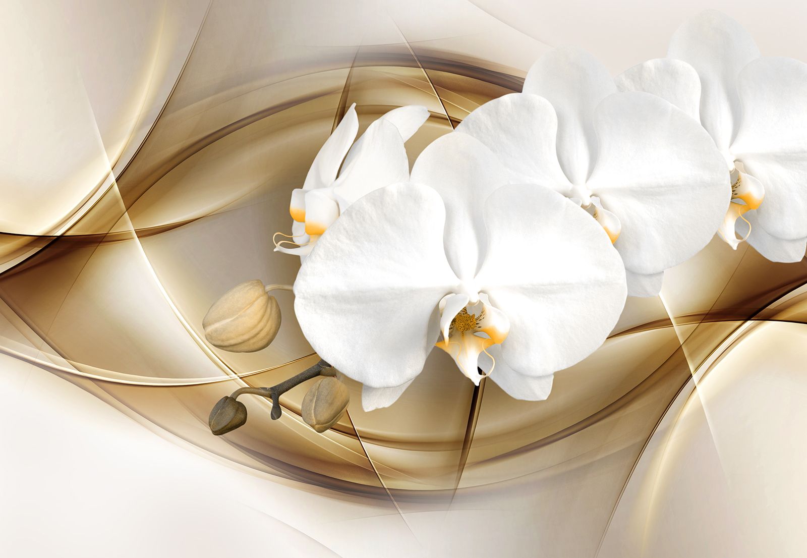 

Фотообои Walldeco Веточка орхидеи №33520 Фреска