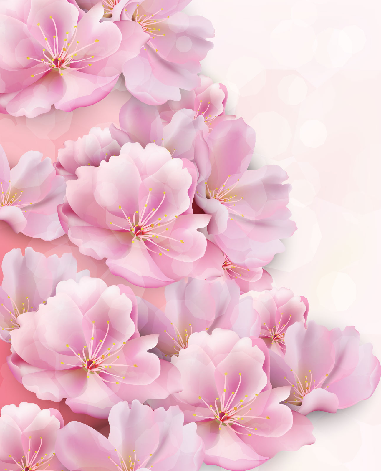 

Фотообои Walldeco Нежно-розовые цветы №39500 Деко