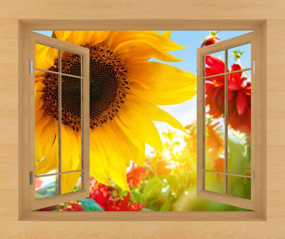 

Фотообои Walldeco Подсолнух №w_6103_4095 Базальт