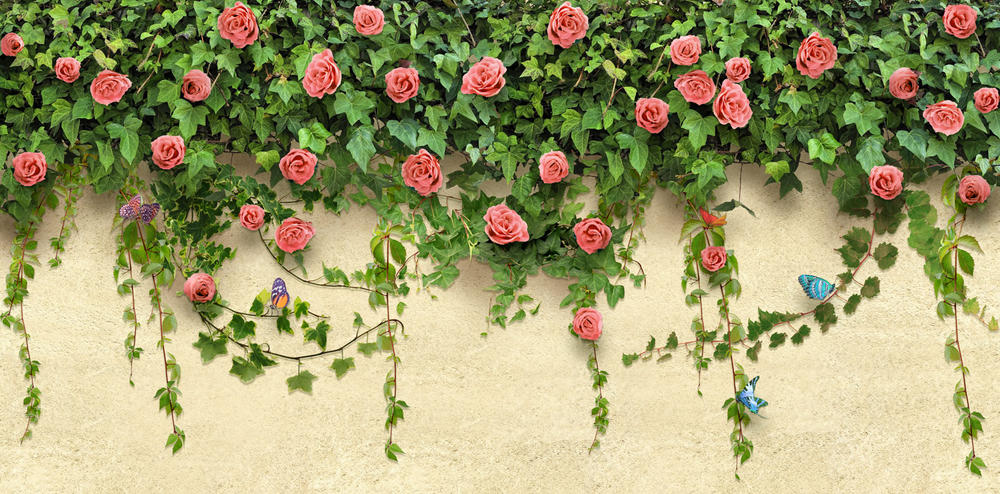 

Фотообои Walldeco Гирлянда роз №30968 Базальт