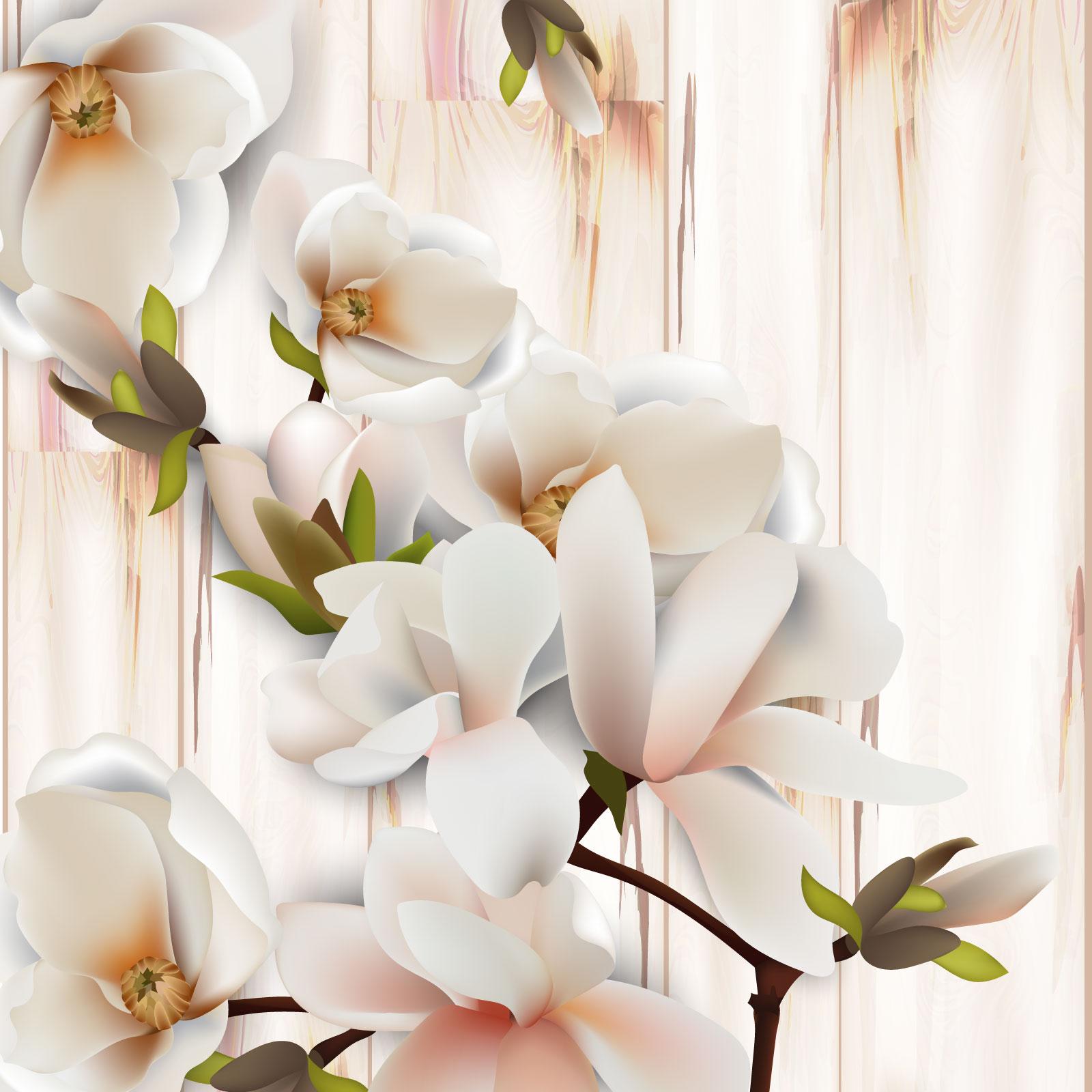 

Фотообои Walldeco Ветка с бело-коричневыми цветами №39498 Фреска