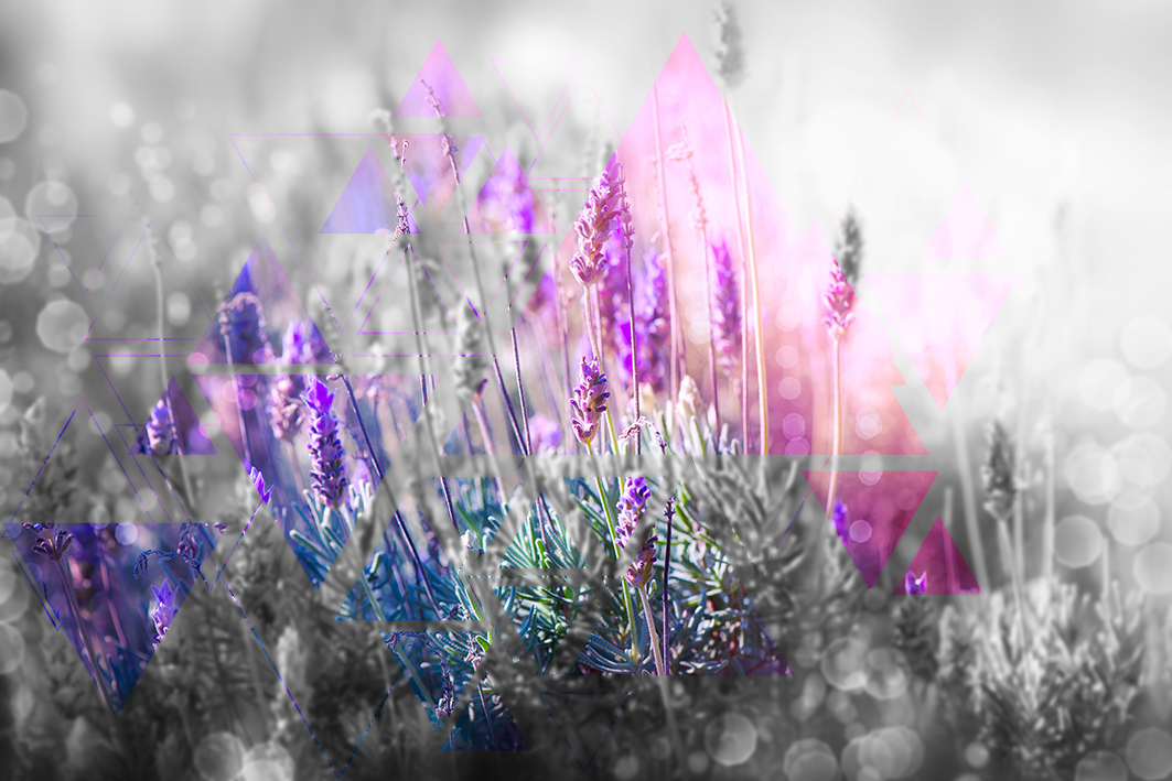 

Фотообои ArtSide Цветы (261120186) Холст