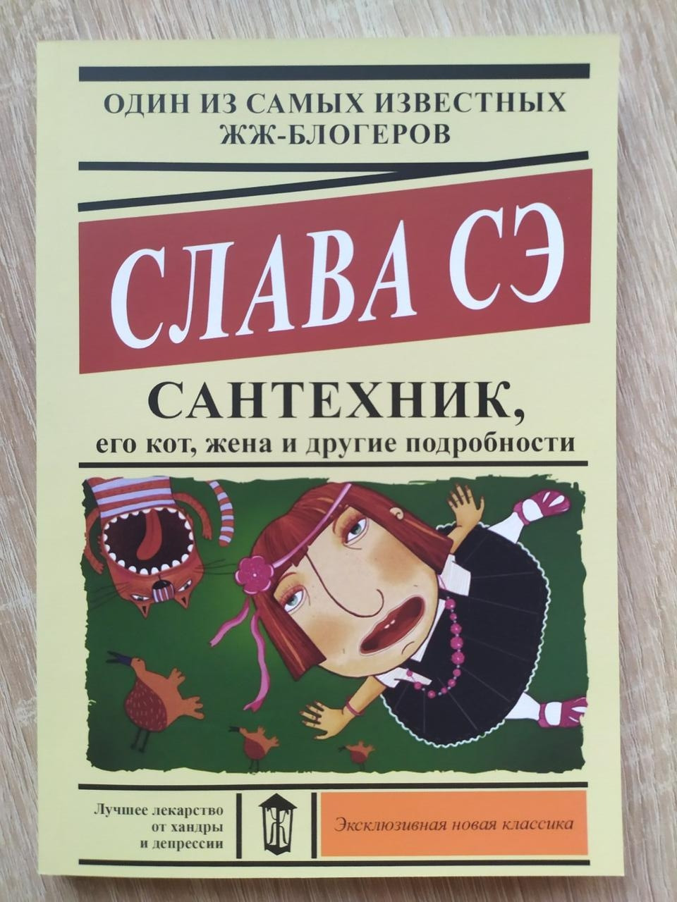 

Слава СЭ. Сантехник, его кот, жена и другие подробности