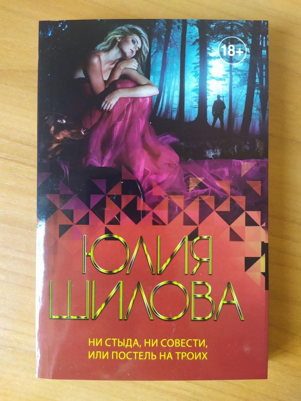 

Юлия Шилова. Ни стыда, ни совести, или Постель на троих