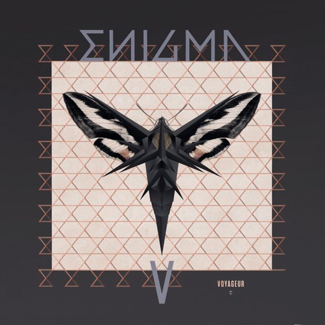 

Вінілова платівка Enigma - Voyageur