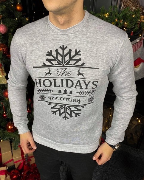 

Свитшот Chernyy Kot Grey HOLIDAYS 03 Серый XS
