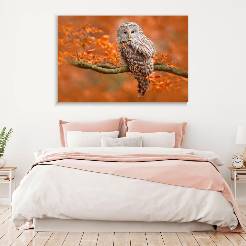 

Картина на холсте Животные Owl Landing In Autumnal Forest 75х100 см.