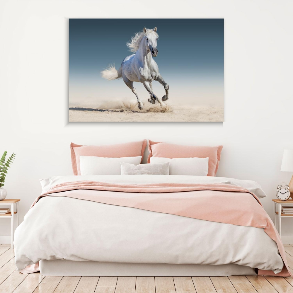 

Картина на холсте Животные White Horse Run Gallop 45х60 см.