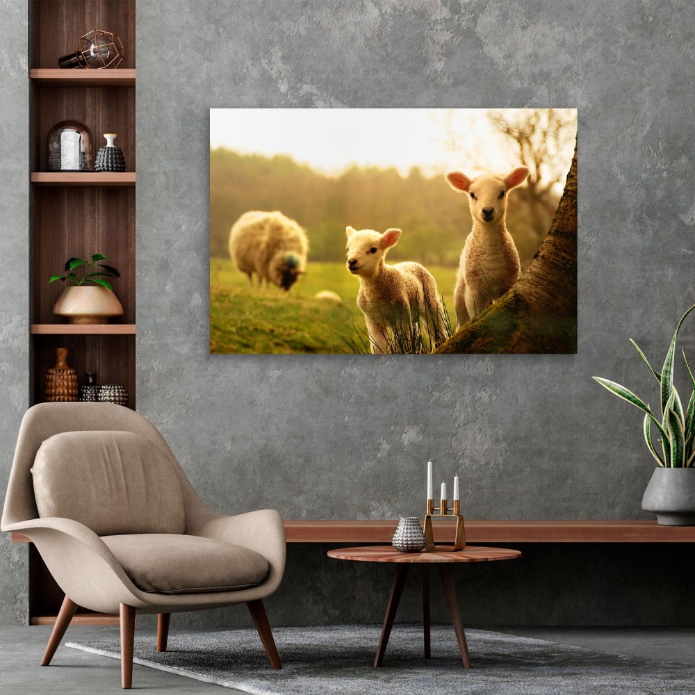 

Картина на холсте Животные Cute Lambs 45х60 см.