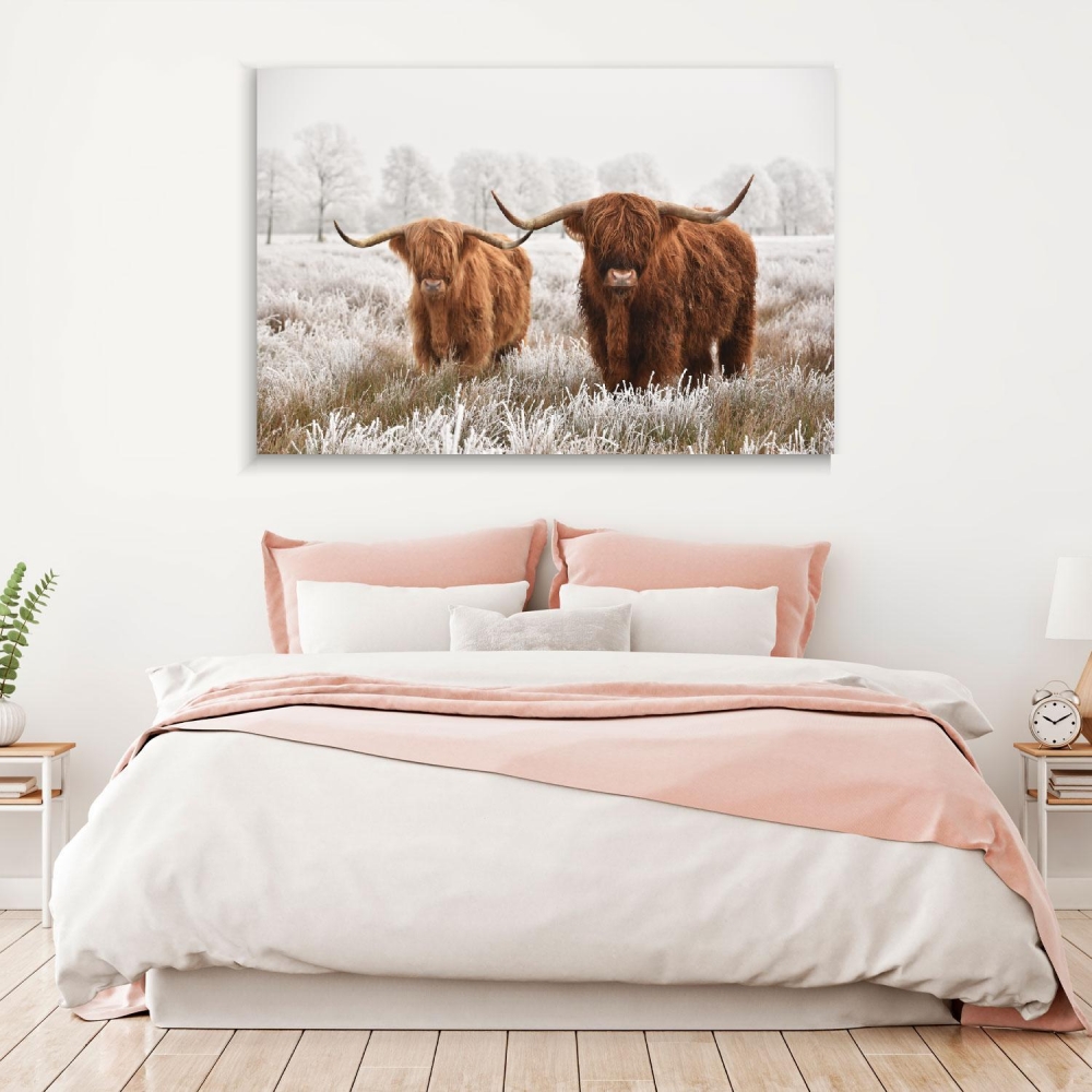 

Картина на холсте Животные Hairy Scottish Highlanders 45х60 см.