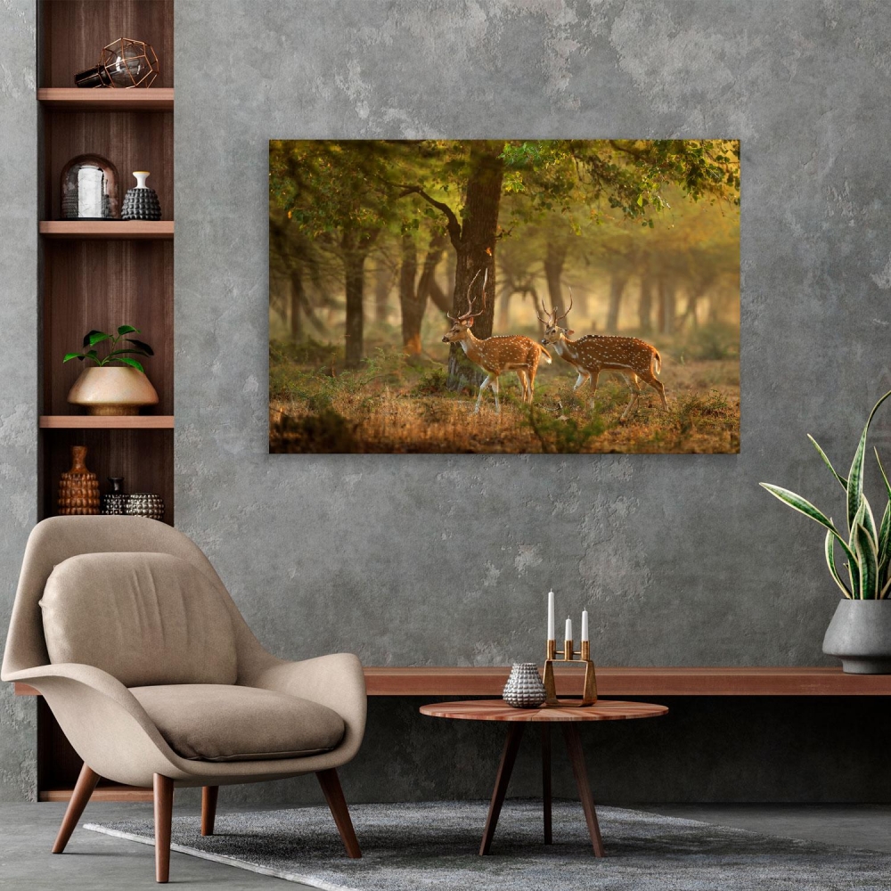 

Картина на холсте Животные Deer Couple In The Forest 50х65 см.