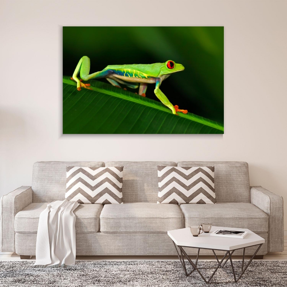 

Картина на холсте Животные Red-Eyed Tree Frog 50х65 см.