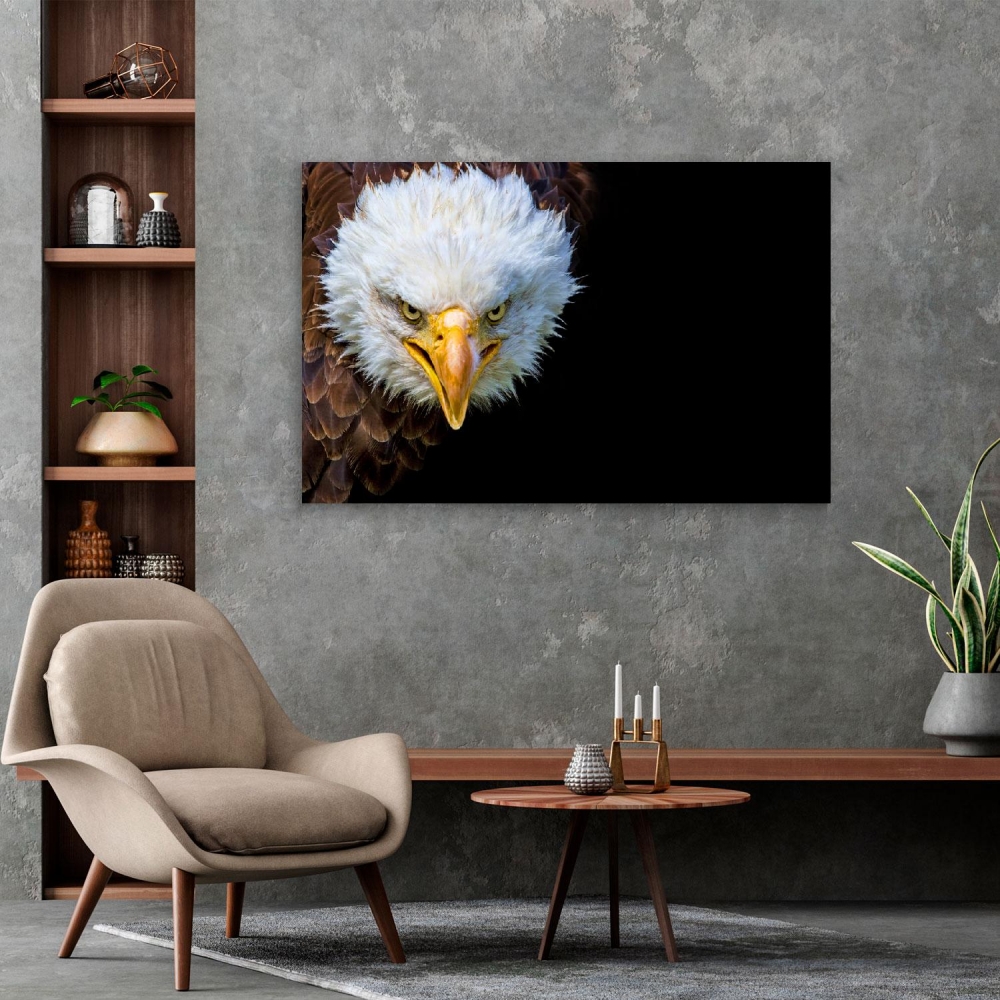 

Картина на холсте Животные Bald Eagle 50х100 см.