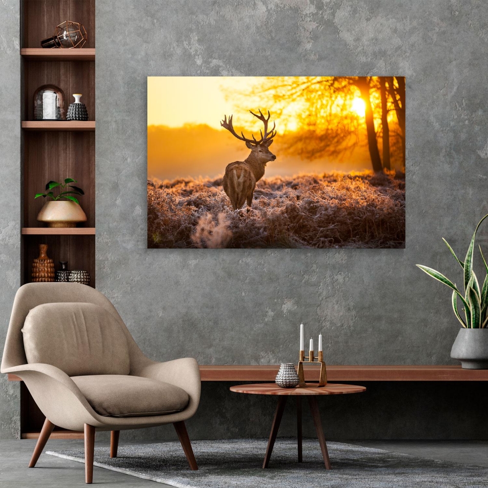 

Картина на холсте Животные Deer In The Forest 75х100 см.
