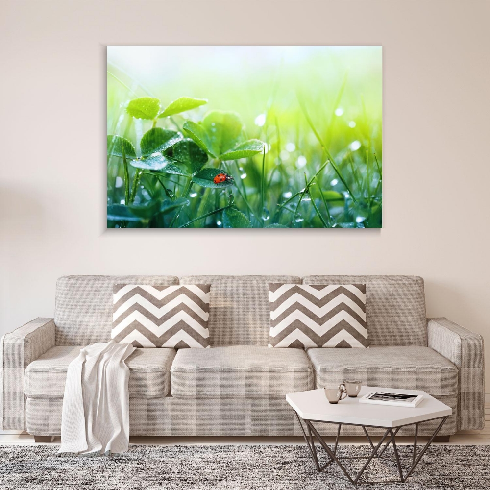 

Картина на холсте Природа Morning Fresh Grass And Ladybug 45х60 см.