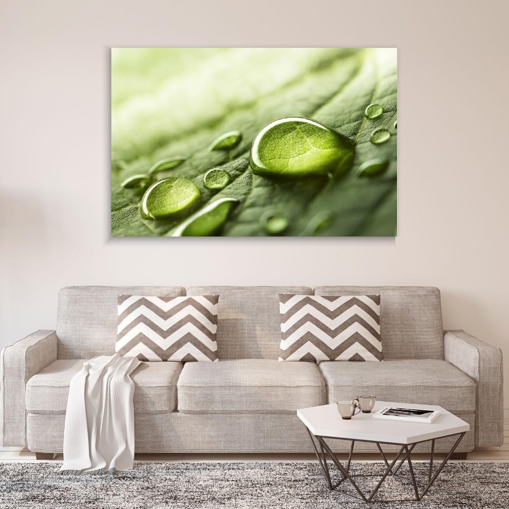 

Картина на холсте Природа Raindrops On A Leaf 90х120 см.