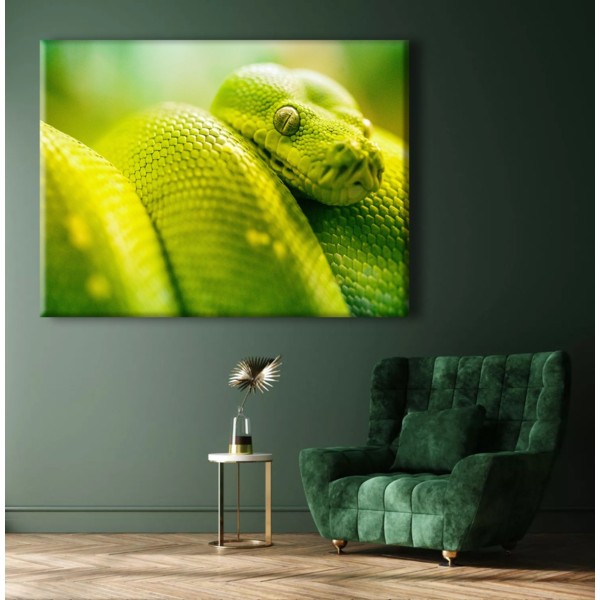 

Картина на холсте Животные Green Snake 110х150 см.