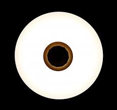 

Люстра Светодиодная люстра Ray LY8339/36W*2 LED+bluetooth (WT) (AN001724)