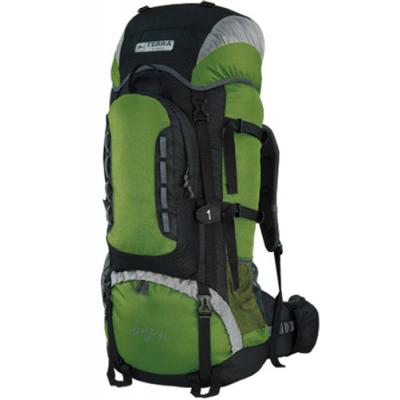 

Рюкзак Terra Incognita Mountain 100 green / black