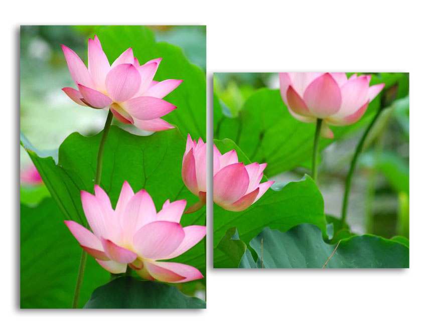 

Модульная картина LaPrint Лотос 130х94 см