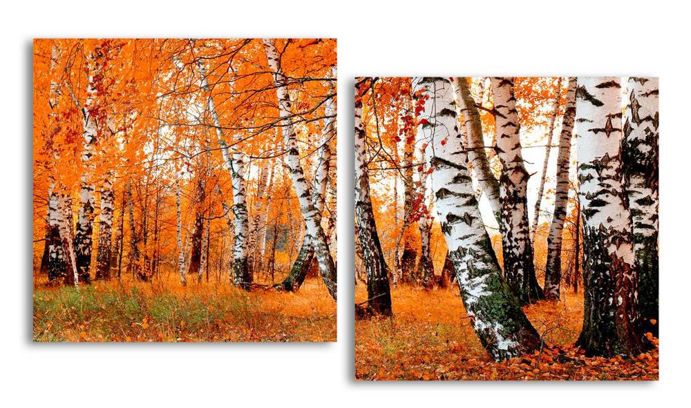 

Модульная картина LaPrint Березовая роща 130х70 см