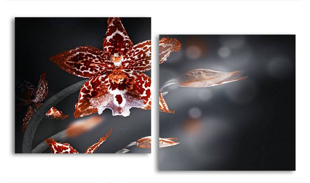 

Модульная картина LaPrint Орхидея 150х82 см