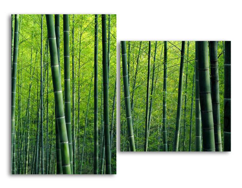 

Модульная картина LaPrint Дикий бамбук 100х73 см