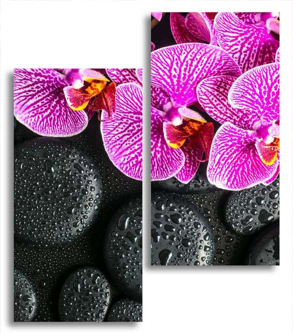 

Модульная картина LaPrint Орхидея и камни 100х116 см