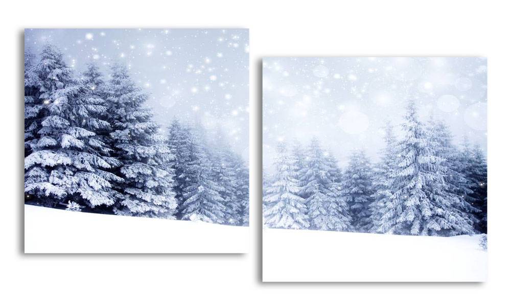 

Модульная картина LaPrint Волшебная зима 130х70 см