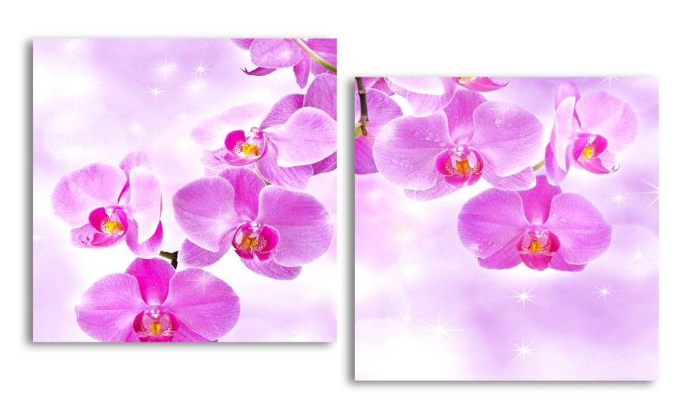 

Модульная картина LaPrint Розовые орхидеи 130х70 см