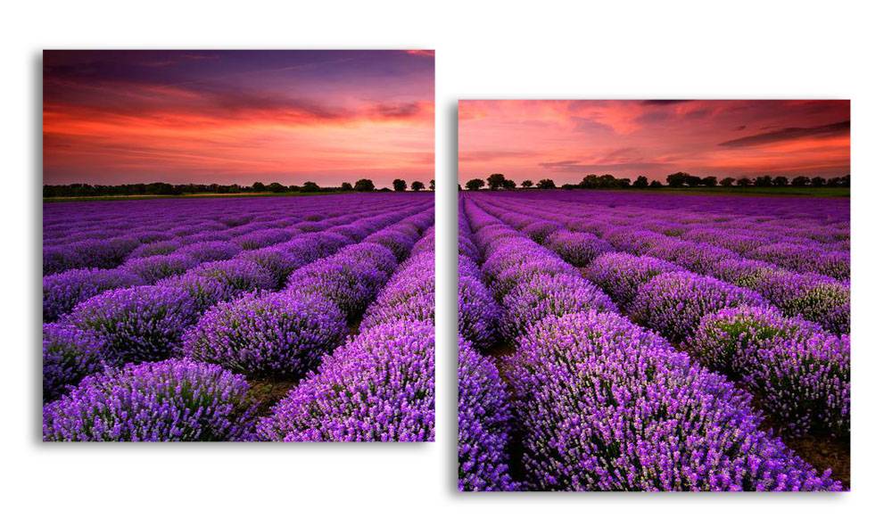 

Модульная картина LaPrint Лавандовое поле 130х70 см