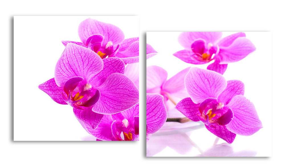

Модульная картина LaPrint Фиолетовая орхидея 130х70 см