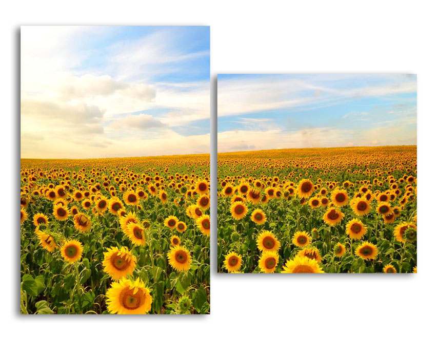 

Модульная картина LaPrint Подсолнухи 130х94 см