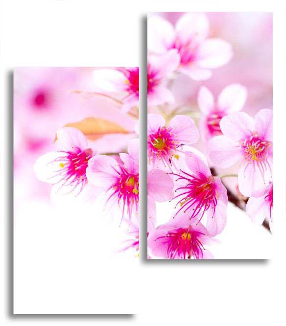 

Модульная картина LaPrint Цветущая сакура 130х150 см