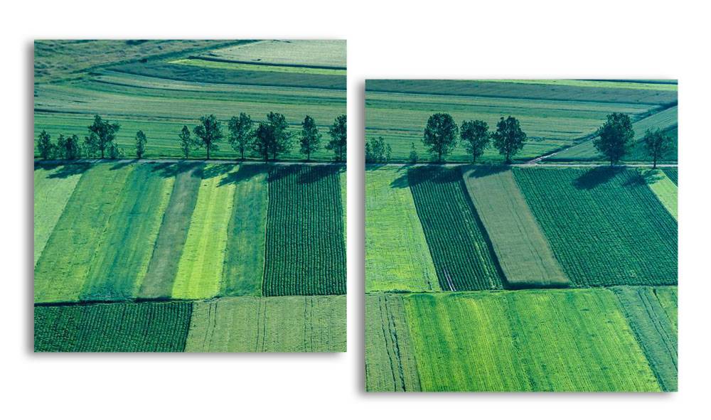 

Модульная картина LaPrint Поля 100х54 см