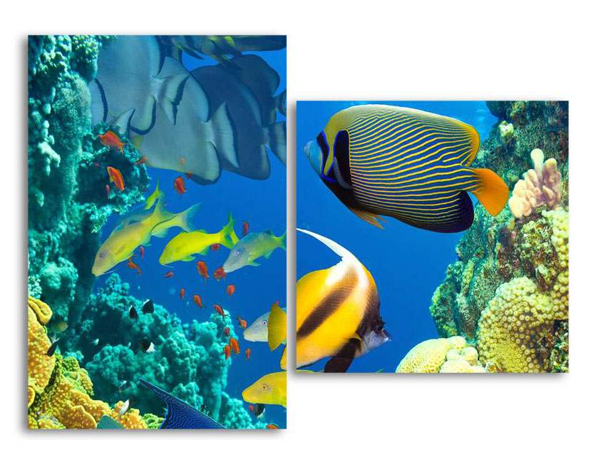 

Модульная картина LaPrint Подводный мир 100х73 см