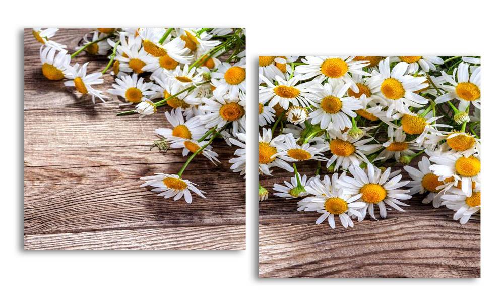 

Модульная картина LaPrint Ромашки на дереве 100х54 см