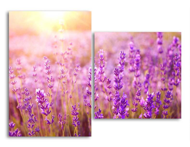 

Модульная картина LaPrint Лаванда 100х73 см