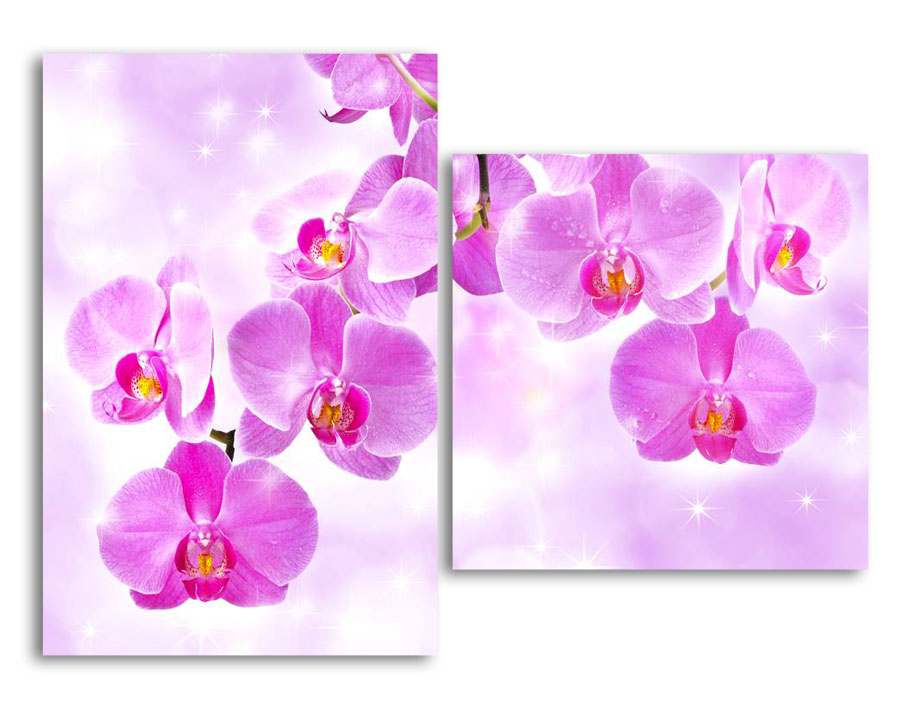

Модульная картина LaPrint Розовые орхидеи 100х73 см