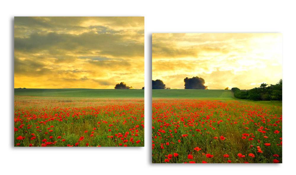 

Модульная картина LaPrint Маковое поле 100х54 см