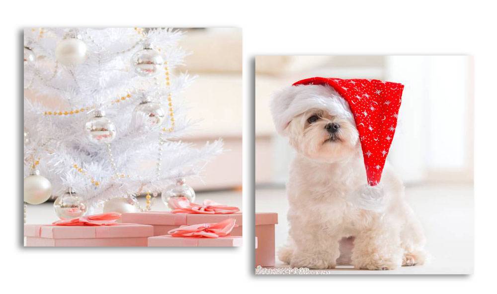 

Модульная картина LaPrint Собачка 100х54 см